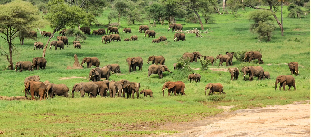 Tanzania